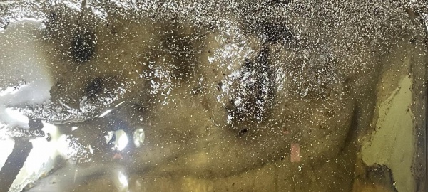 Just flushing a diesel tank is really insufficient